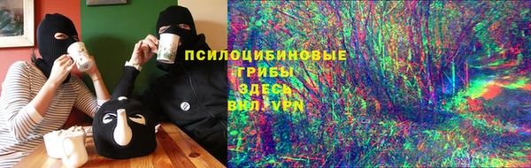 стаф Новозыбков