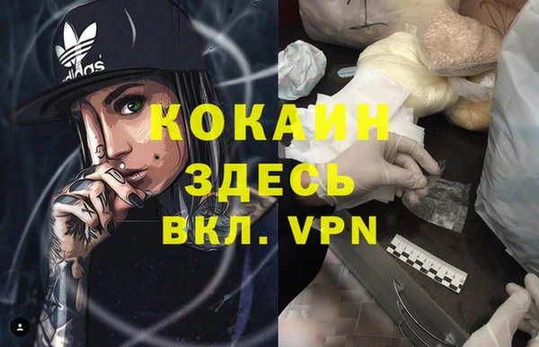 стаф Новозыбков