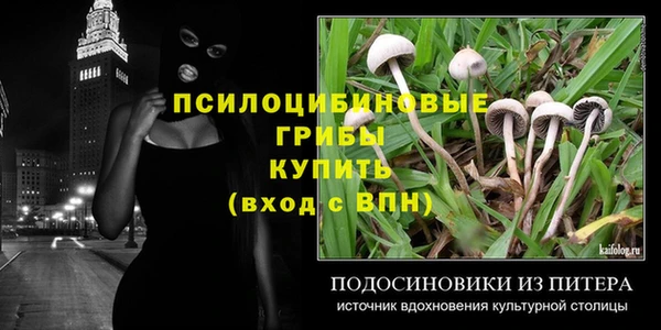 стаф Новозыбков
