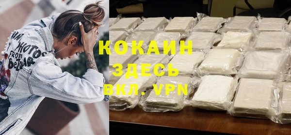 стаф Новозыбков